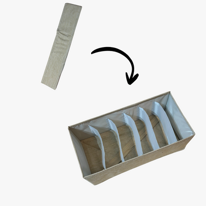 Multi-Compartment Storage Bin