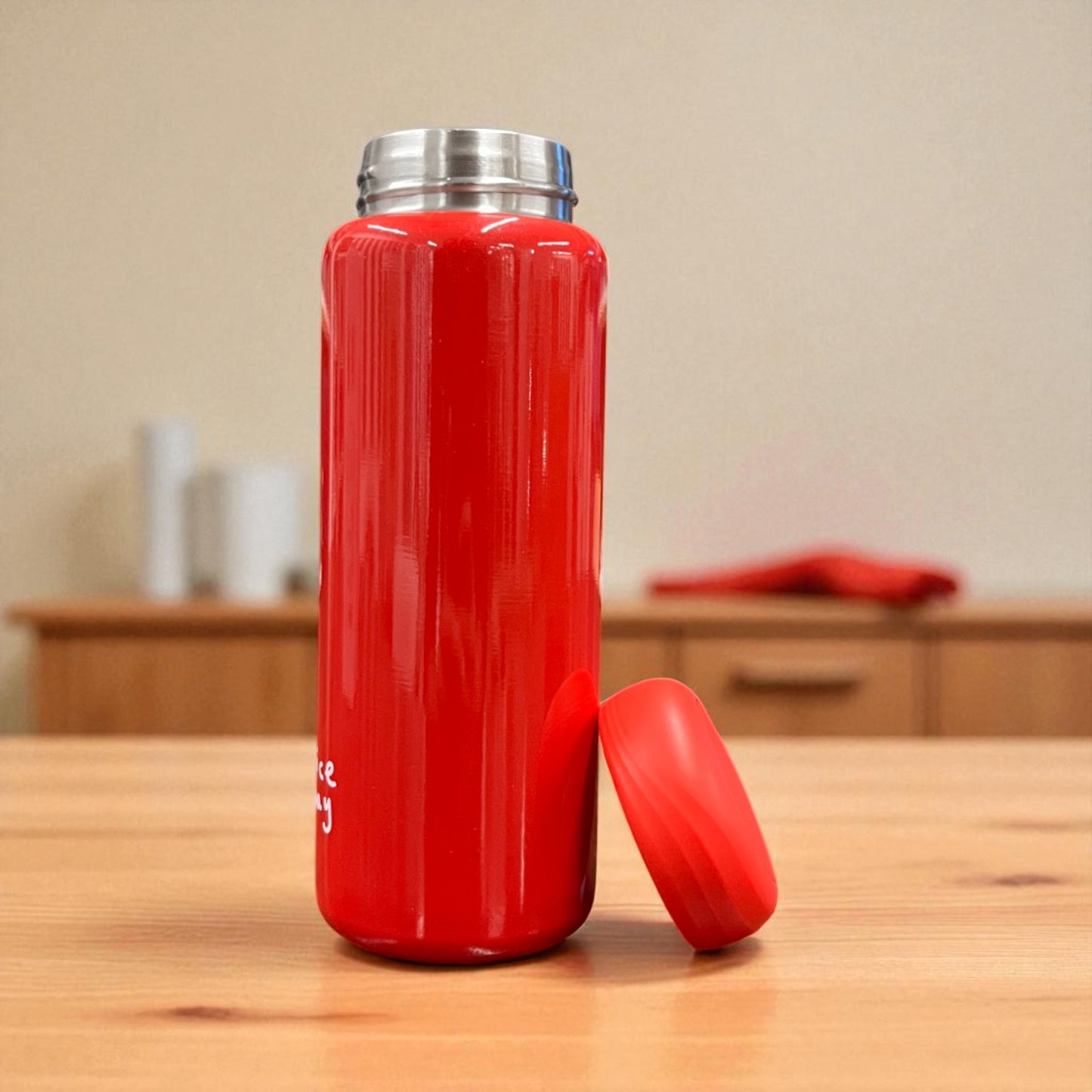 Nice Day Vacuum Insulated Bottle