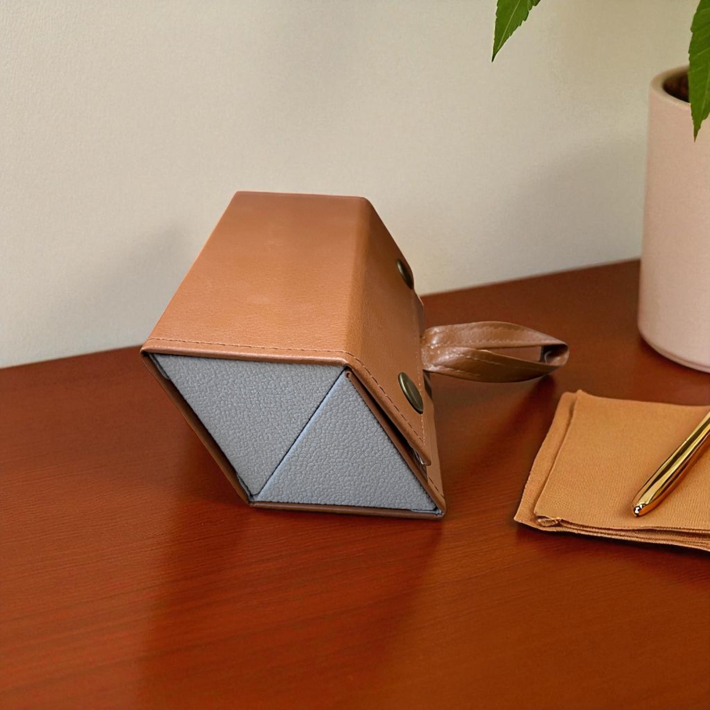 Eye Gear Organizer
