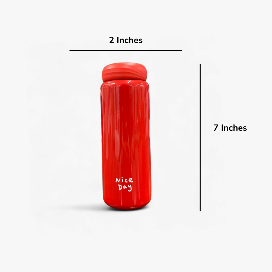 Nice Day Vacuum Insulated Bottle