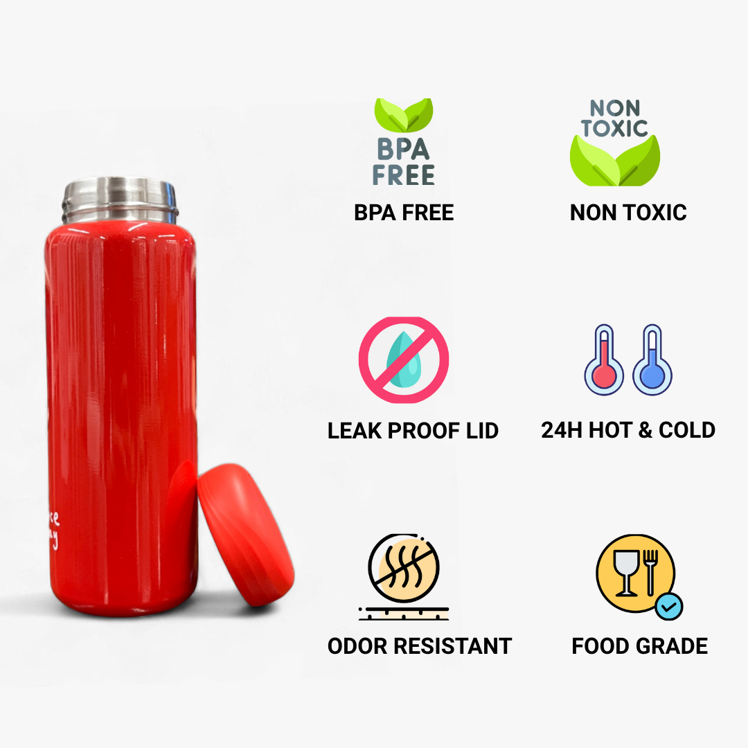 Nice Day Vacuum Insulated Bottle